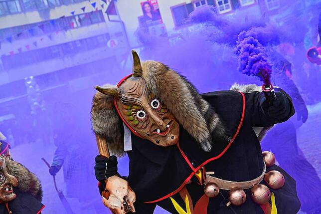 Bild 6: 75 Gruppen beim Fasnachtsumzug in St. Georgen: Wir haben die Bilder
