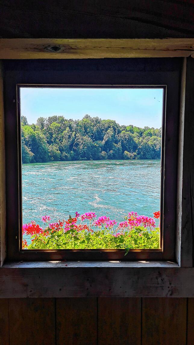 Ein Blick aus dem Fenster der alten Zollbrücke zwischen Altenburg und Rheinau.