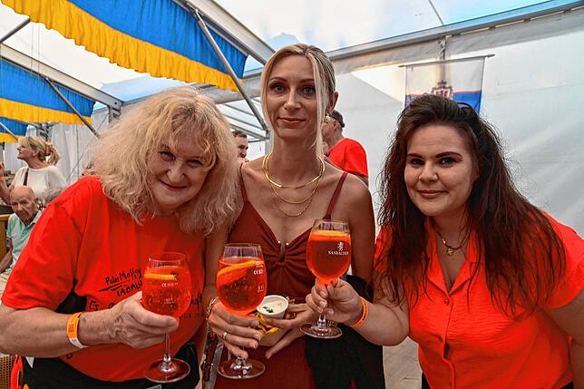 Bild 11: 1000 Besucher feiern mit der Spider Murphy Gang