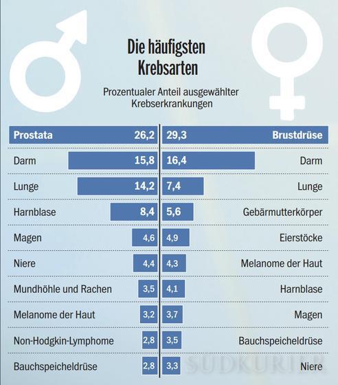 Bild 3: Krebs als Leid und Markt