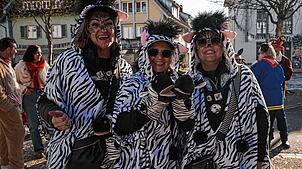 Bild : Unvergessliche Bilder vom Rosenmontagsumzug in Gottmadingen: So bunt war die Fasnacht 2025!