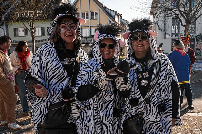 Bild 1: Unvergessliche Bilder vom Rosenmontagsumzug in Gottmadingen: So bunt war die Fasnacht 2025!