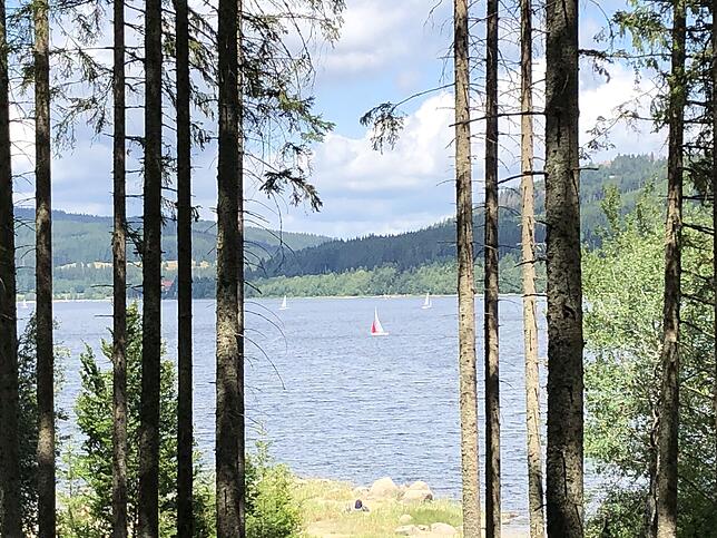 Der Schluchsee – Schwarzwaldidylle pur. Zumindest, so lange man nicht in der Nähe von Ostufer und B500 ist.