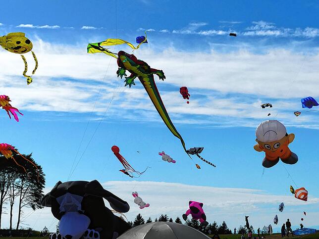 Bild 23: Bilder vom 11. Familien-Drachenfest auf dem Flugplatz in Hütten