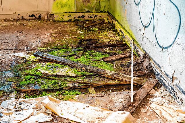 Bild 11: Lost Place wird Kindergarten: Videos aus der alten Kaserne