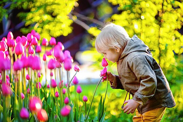 Um Kindern sinnliche Erfahrungen zu vermitteln, reicht ein Blume.
