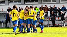 Heimstark: Der FC Singen.