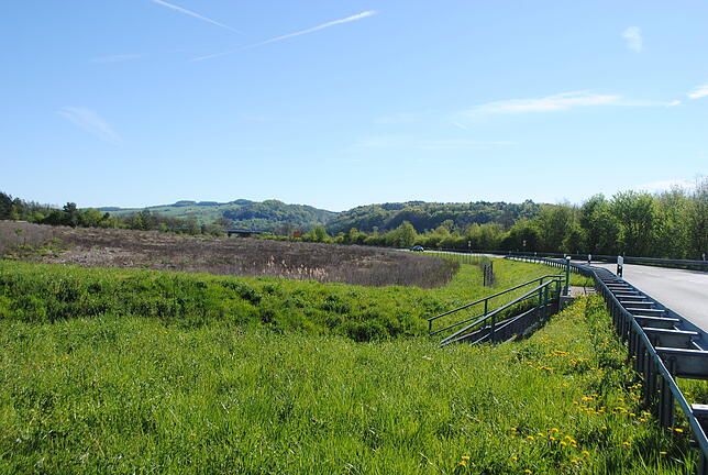 Auf diesem Gelände an der Kreuzung der B 314 Richtung Wutöschingen zur A 98, die im Hintergrund zu sehen ist, soll das Kino gebaut werden.