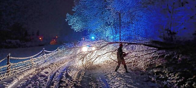 Zwischen Jestetten und Rheinau ragt ein großer Ast in die Volkenbachstraße. Die Einsatzkräfte müssen mit der Motorsäge ran.