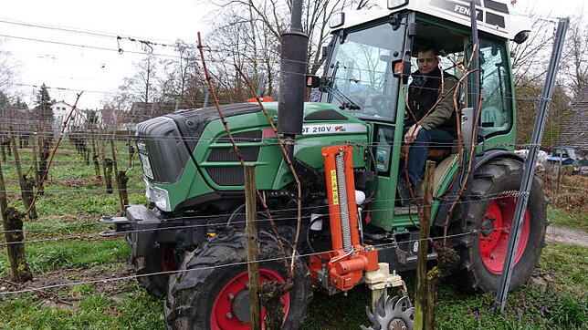 Stephan Düringer zeigt am Weinberg am Bismarckturm den Einsatz der Rollhacke, die dazu dient, Unkraut zu entfernen. Der Einsatz ist aber ...