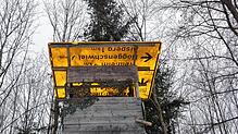 Richtungsweisend ist die Bedachung dieses Hochsitzes in einem Waldstück im Raum Waldshut-Tiengen.