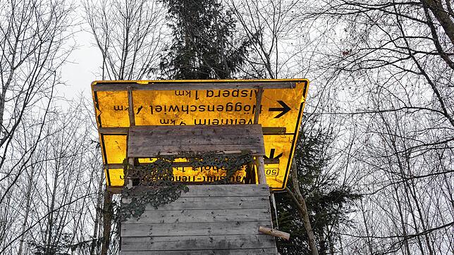 Richtungsweisend ist die Bedachung dieses Hochsitzes in einem Waldstück im Raum Waldshut-Tiengen.