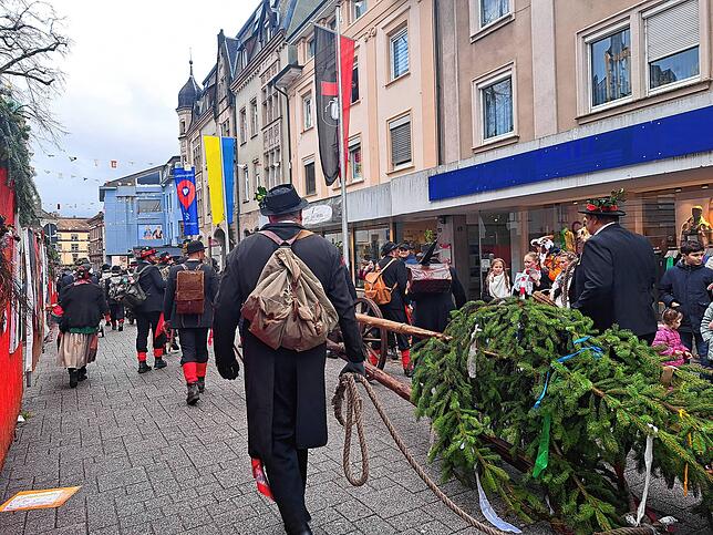 Der Narrenbaum.