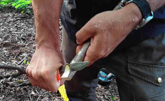Ein Grabstock mit Spitze und breiter Schaufel ist im Wald ein extrem nützliches Werkzeug.
