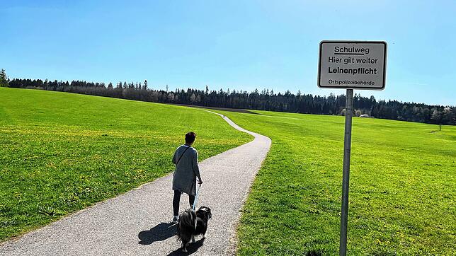 Eine Frau führt ihren Hund am Warenberg Gassi. Dort gilt bereits seit den 1960ern eine Leinenpflicht. Seit 2022 sind dort entsprechenden ...