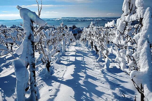 Bild 4: Immer noch überall Schnee: Der SÜDKURIER zeigt die schönsten Bilder der vergangenen Tage