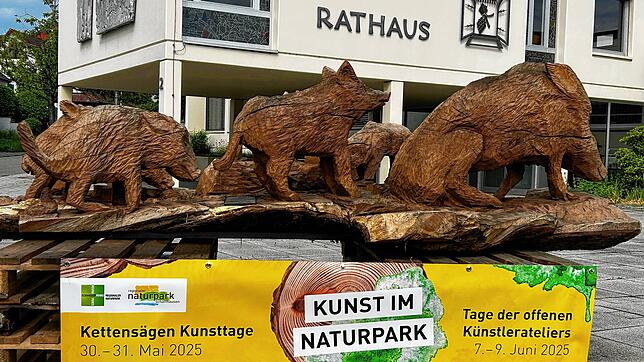 Wildschweine aus Holz: Bei den Kettensägen Kunsttagen können Besucher zuschauen, wie aus Baumstämmen Skulpturen entstehen. Fotos: Ralf ...