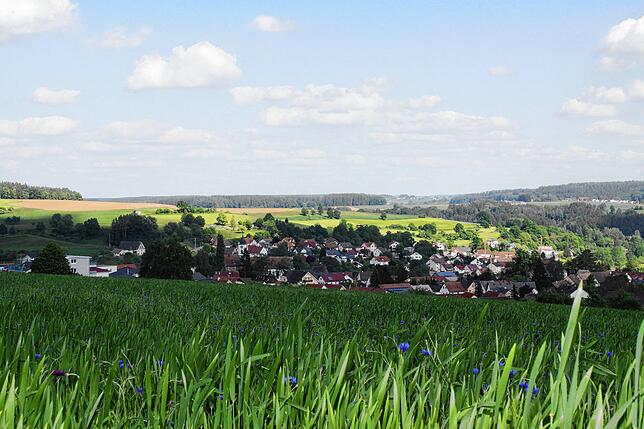Der Blick vom Steinbühl auf Mühlingen. Hier hatten einige Investoren den Bau einer Solaranlage im Blick, doch der Gemeinderat lehnte ab.