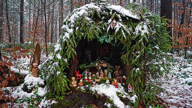 Das Krippele im Wald bei Dettingen wird seit 25 Jahren von Irmgard Schmid-Lofi betreut und gestaltet. Die 82-Jährige möchte gerne die ...
