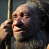 Die Nachbildung eines älteren Neandertalers im Neanderthal-Museum in Mettmann.