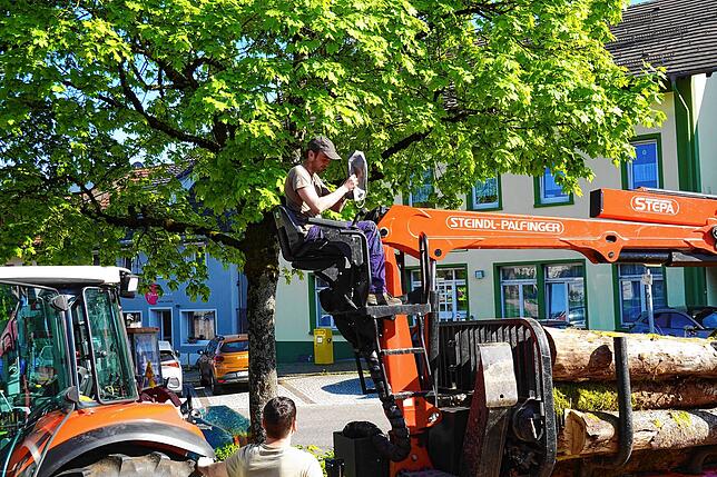 Bild 30: „Gerbler Baumsteller“ feiern Geburtstag