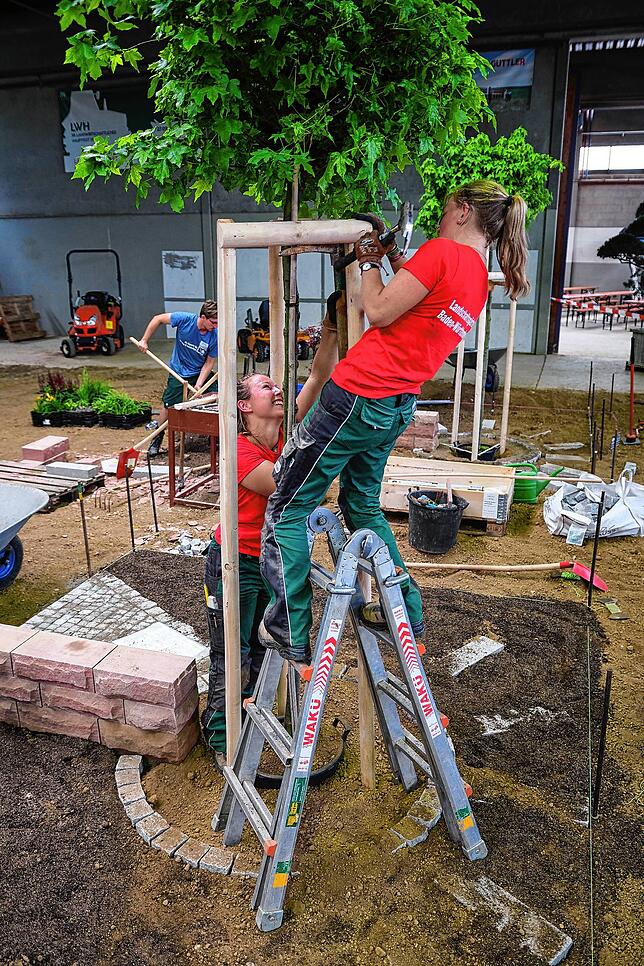 Schnell muss es gehen beim Kampf um die Garten-Krone.
