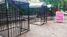 Das sind drei von sechs Hundeboxen. Sie befinden sich in der Nähe des Bahnhofs Therme. Dort ist auch eine LGS-Servicestation, wo sich ...