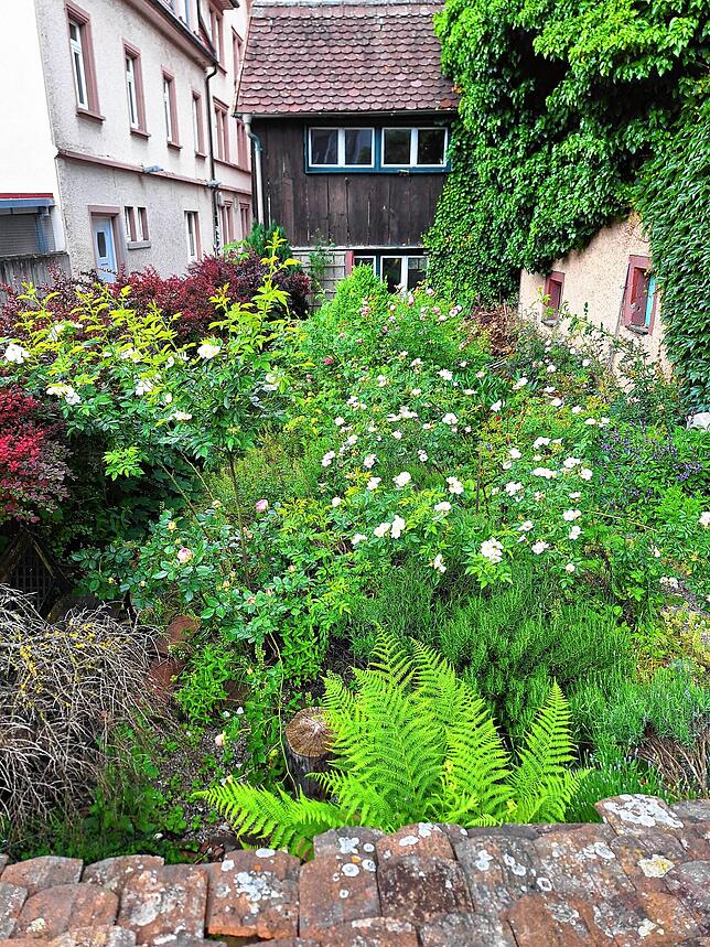 Nicht alltäglich: der einsehbare Garten mitten in der Stadt.