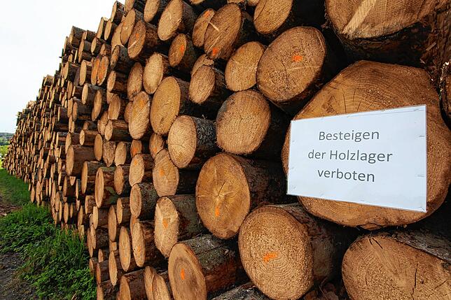 Derzeit ist der Forst dabei, Sturmholz aus dem Wald zu entfernen. Da im Freien die Mindestabständen gut eingehalten werden können, sind ...