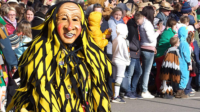 Narren und Zuschauer hatten viel Spaß beim Kleggaunarrentreffen in Hohentengen.