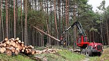 Eine Forstmaschine, mit der Holz geerntet wird. An einem solchen oder ähnlichen Fahrzeug sind in Maulburg Kabel und Schläuche ...