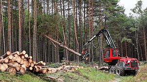 Eine Forstmaschine, mit der Holz geerntet wird. An einem solchen oder ähnlichen Fahrzeug sind in Maulburg Kabel und Schläuche ...