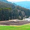 Nach nur einem Jahr ist das große Sturmholzlager neben der Kläranlage bei Hammereisenbach weg. Die große Holznachfrage sorgte für einem ...