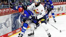 Die Schwenninger Wild Wings (links Daniel Neumann) wehrten sich gestern Abend tapfer gegen München (rechts Dominik Bittner) und holten ...