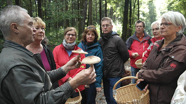 Mit dem Pilzexperten im Mariabrunner Wald: Dieter Heinzler (links) erklärt den Teilnehmern eines Pilzseminars wichtige ...