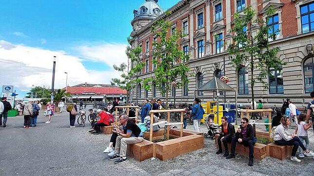 Die Eiche an der Marktstätte hat Gesellschaft bekommen. Aber wie viel Grün braucht es in der Stadt?