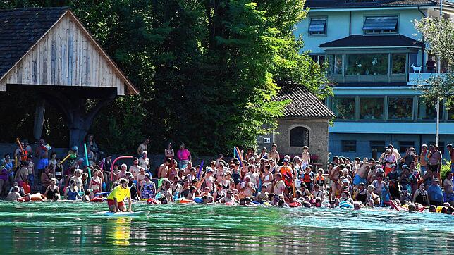 381 Teilnehmerinnen und Teilnehmer machen beim grenzüberschreitenden Rheinschwimmen mit. So viele wie noch nie stürzen sich beim Inseli ...