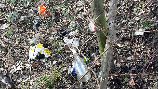 Bislang durch Gestrüpp, Büsche und Gehölz verdeckt: weggeworfene Glasflaschen, Zigarettenschachteln und Plastikmüll.