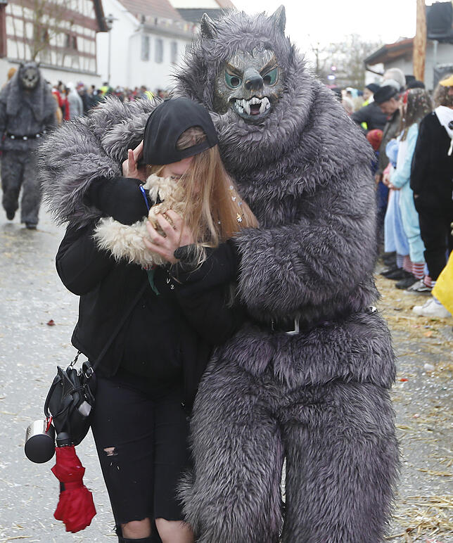 Bild 10: Bilder zum großen Narrentreffen in Pfohren (4)