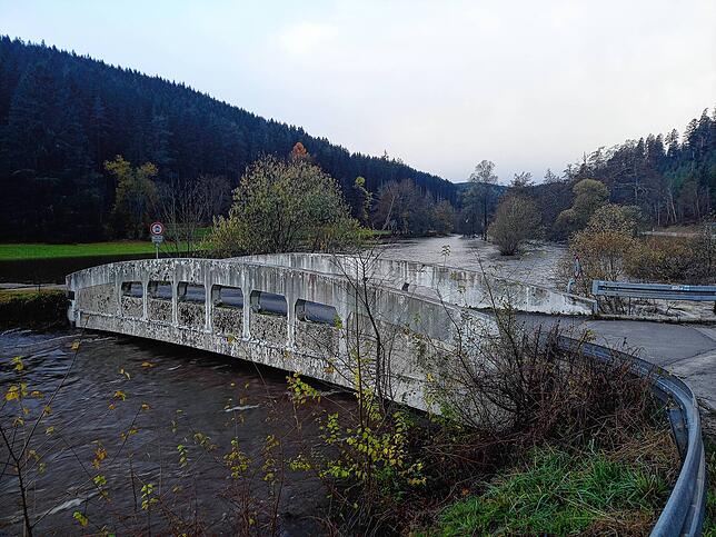 Bild 11: Hochwasser im Schwarzwald: Beeindruckende Bilder vom Dauerregen im Bregtal