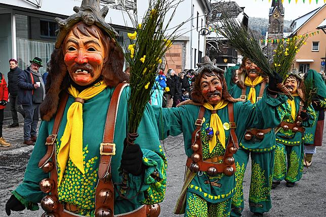Bild 3: Bilder vom Pfrieme-Stumpe Jubiläumsumzug in Tennenbronn