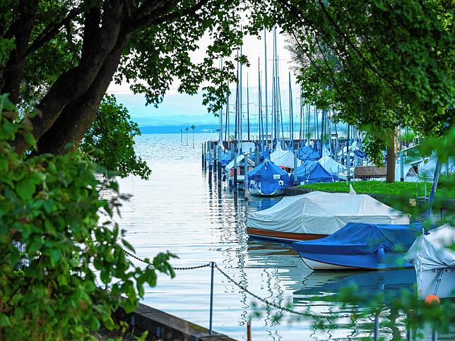 Der Hafen in Fischbach liegt idyllisch im Grünen.