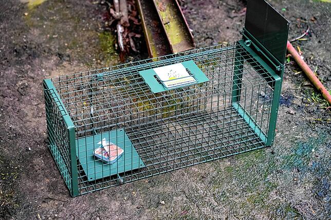 Eine Lebendfalle, die mit einem Fressköder bestück ist. Geht die Katze in den Käfig, schnappt die Falle zu und die Tür geht runter.