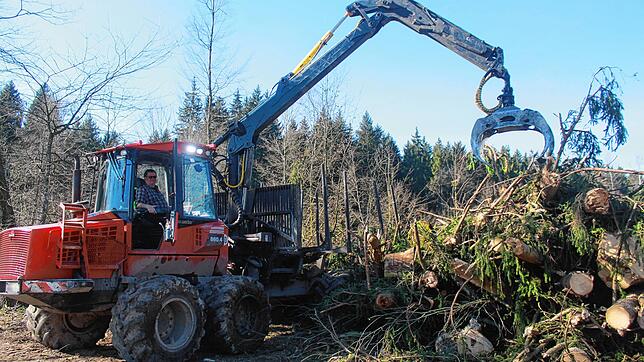 Um keine großen Brutstätten für den Borkenkäfer zurückzulassen, werden die Wipfel der Bäume mit Spezialmaschinen aus dem Wald gefahren ...
