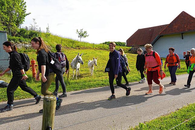 Bild 25: 180 Teilnehmer beim 42-Kilometer-Wandermarathon: Das sind die Bilder
