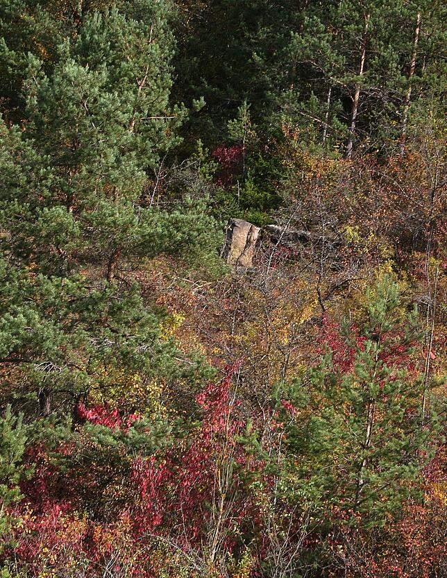 Bild 35: Bilder vom Abtransport des Felsbrockens auf der A81 nach dem Unfall nahe Trossingen