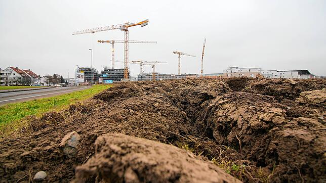 Von Acker zu Bauland: Nicht nur in Wiggenhausen sind in den vergangenen fünf Jahren viele neue Wohnungen entstanden. Doch reicht das?