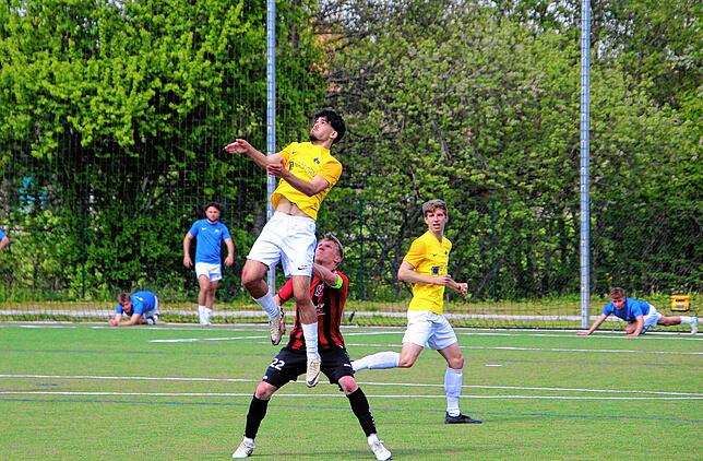 Bild 8: Die besten Bilder vom Landesliga-Spiel FC Königsfeld gegen SG Dettingen-Dingelsdorf