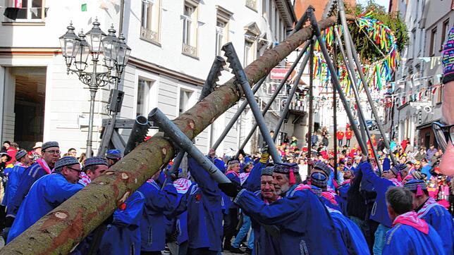 Mit schierer Muskelkraft wird der Narrenbaum in die Höhe gestemmt.