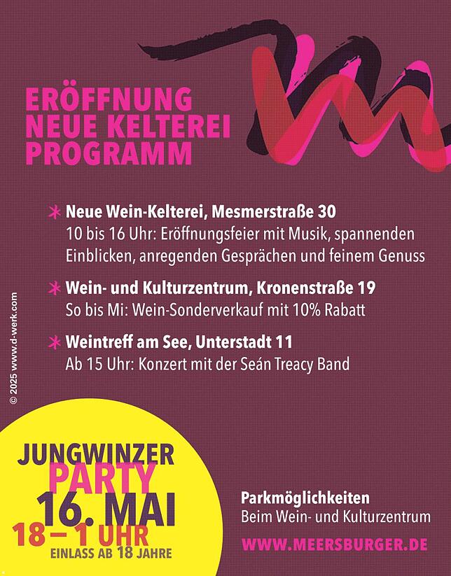 Bild 3: Winzerverein Meersburg : Modernste Technik für beste Weinproduktion